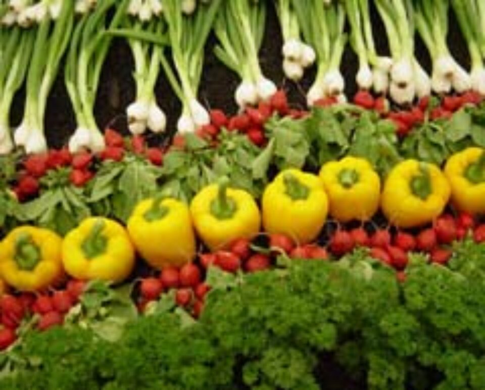 Alimente pentru FRUMUSEȚE