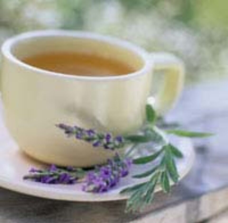 Remedii naturiste contra indigestiei