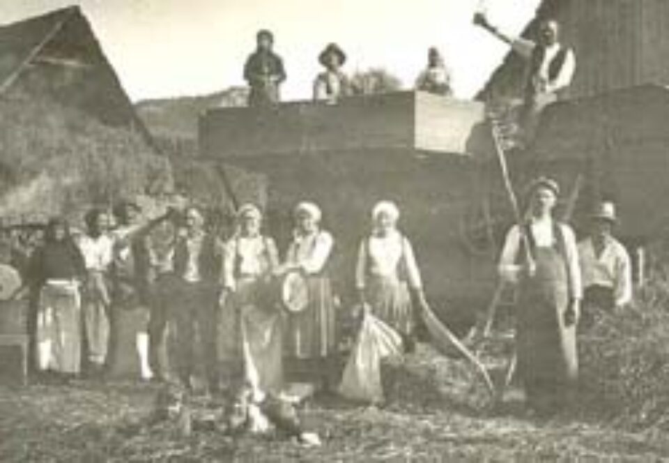 Din presa de altadata