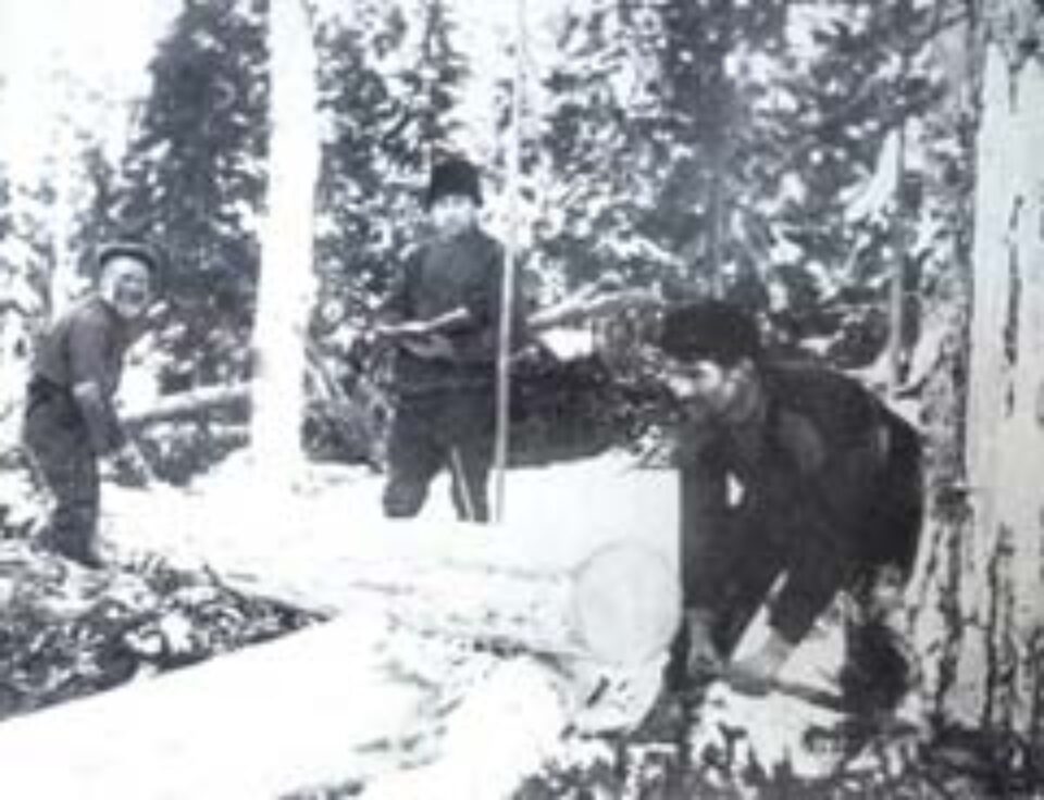 Din presa de altadata