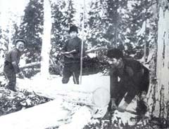 Din presa de altadata