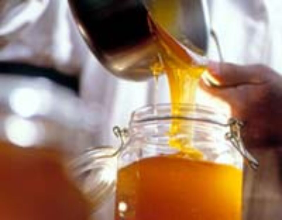 Rețete diverse cu miere Rețete diverse cu miere