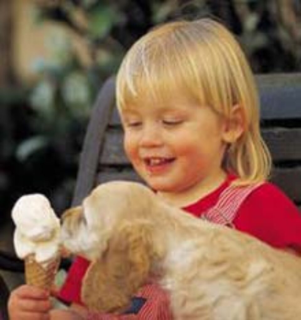 Înghețata - mană cerească pentru sănătate