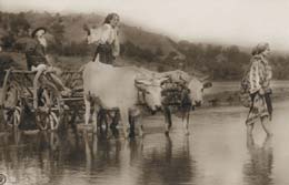 Din presa de altadata