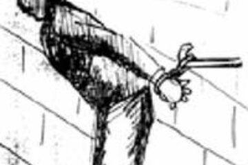 Dn presa de altadata