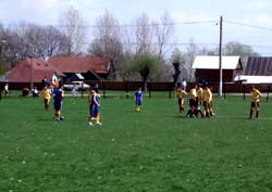 Conturile par încheiate în toate cele 3 serii