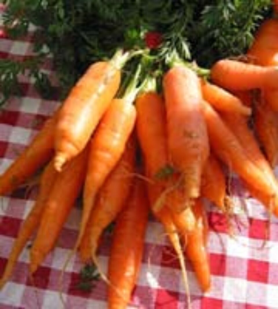 Cura de slăbire cu MORCOVI Cura de slăbire cu MORCOVI