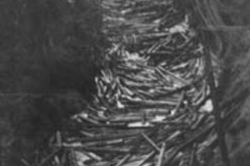 Din presa de altadata