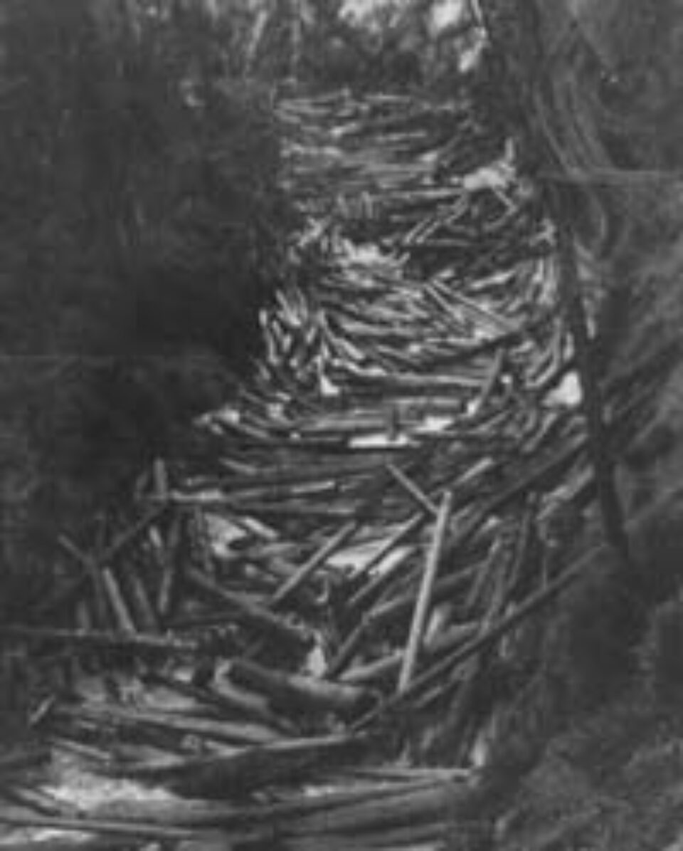 Din presa de altadata