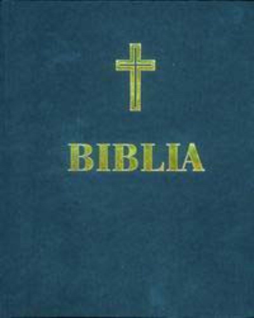 Capitolul 1 Capitolul 1