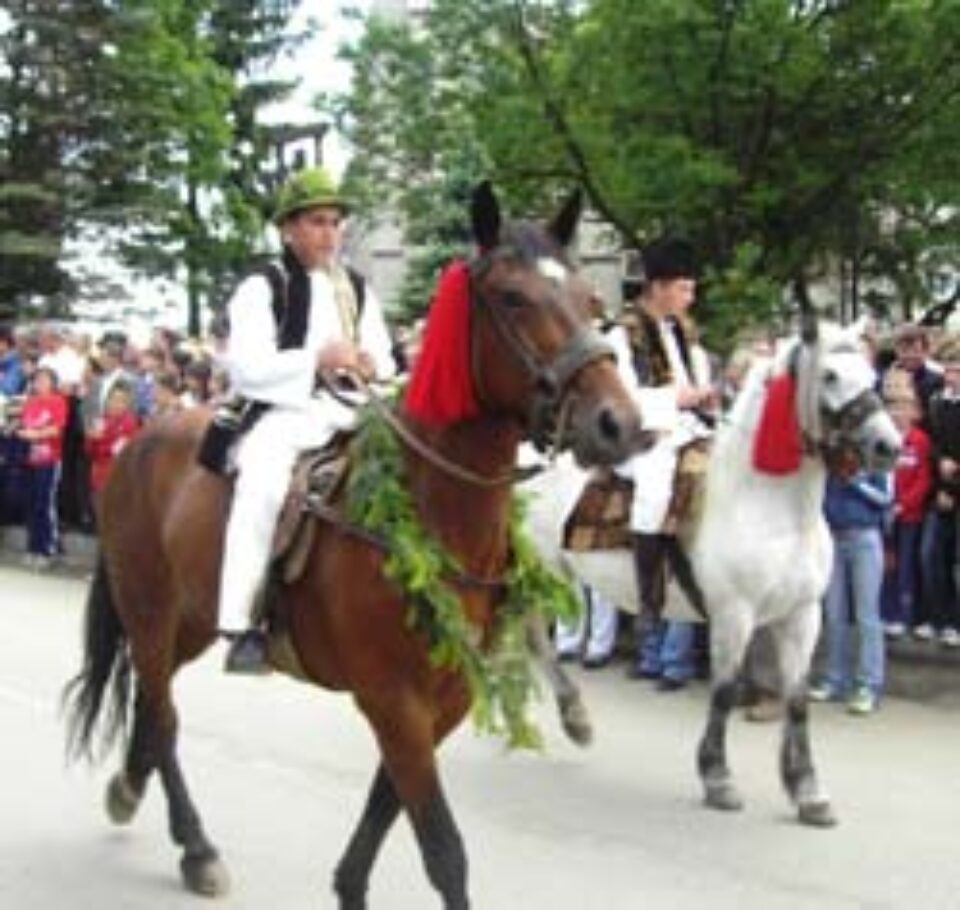 Bucovina în sărbătoare