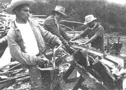 Din presa de altadata