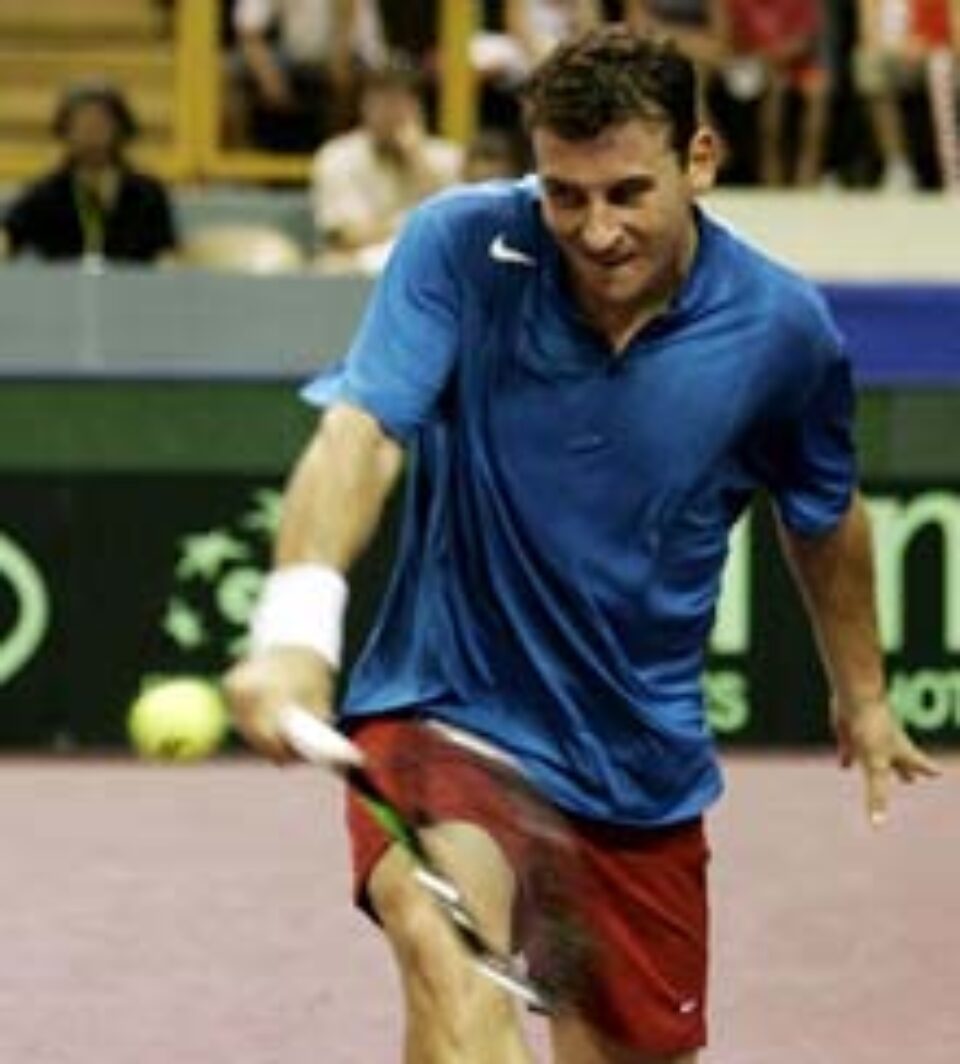 Pavel, victorie în fața cipriotului Baghdatis