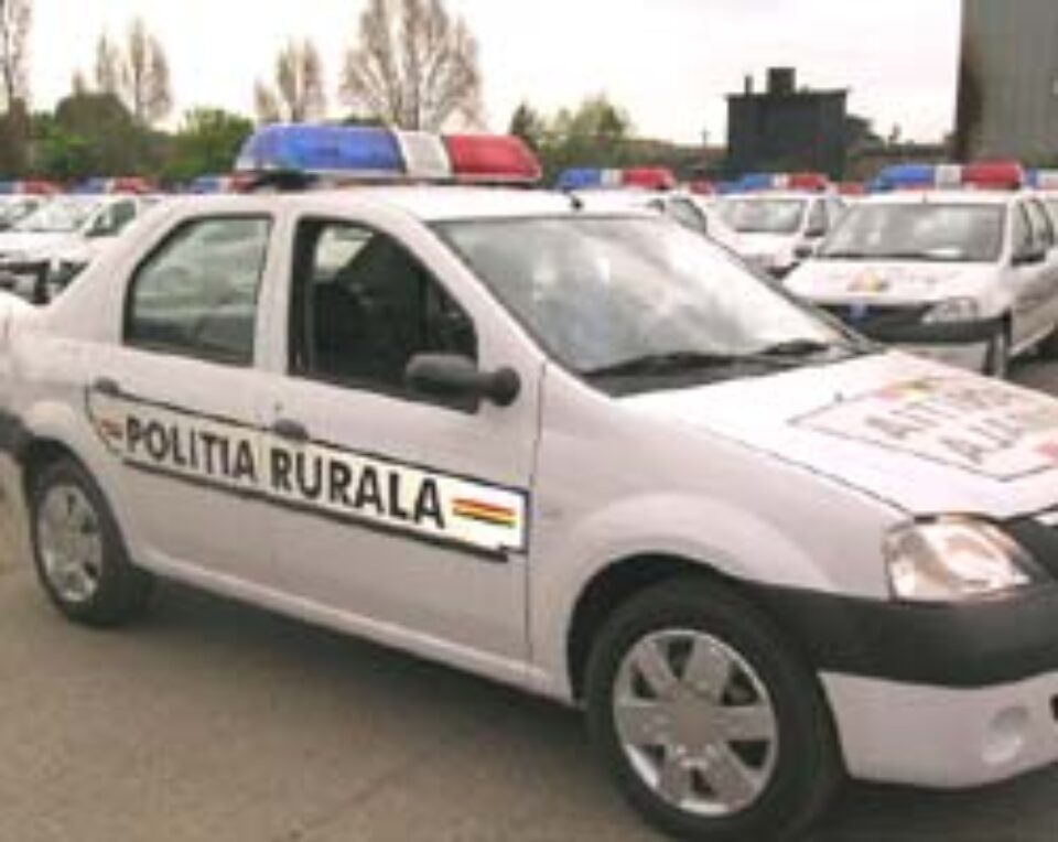 170 de Logan-uri, pentru polițiștii suceveni