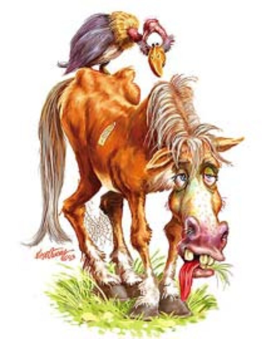 Din presa de altadata Din presa de altadata