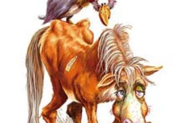 Din presa de altadata