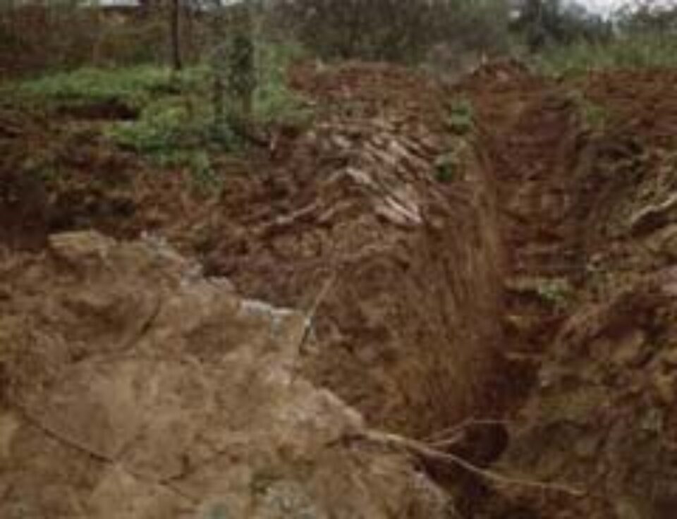 Ploile abundente au reactivat alunecările de teren în zonele Zamca- Cernăuți Ploile abundente au reactivat alunecările de teren în zonele Zamca- Cernăuți