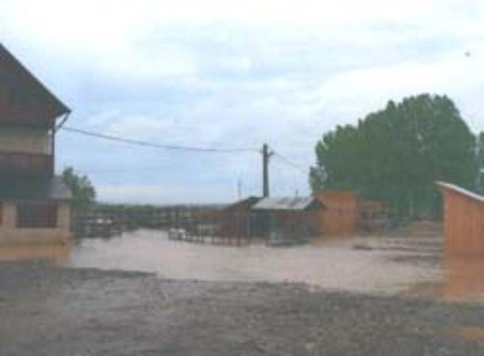 Dig de peste 3 milioane de euro, distrus de ploi