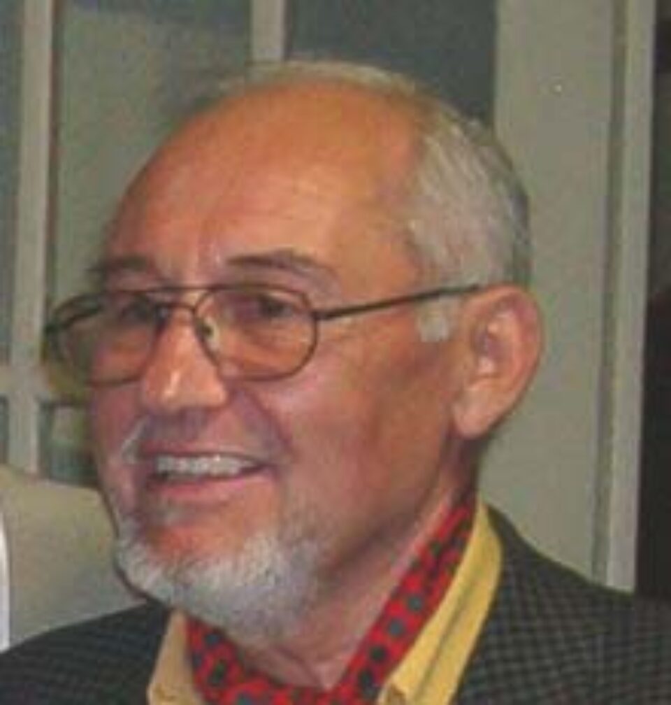 „Lumina Nordului” - o unitate în diversitatea formulelor de exprimare, de la orizontul decorativ, până la exercițiul de admirație față de natură