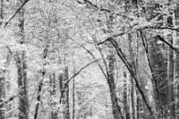 Din presa de altadata