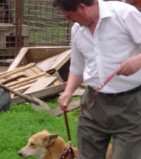 Norocel, înfiat de consilierul local Bosancu de Zilele Sucevei