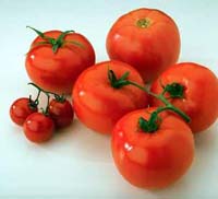 Roșii modificate genetic ce conțin vaccinuri contra HIV