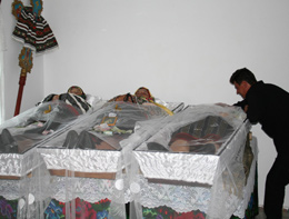 Jale și disperare la Arbore