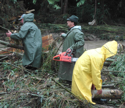 Pagube de peste 140 de miliarde de lei produse de inundații la Direcția Silvică Suceava