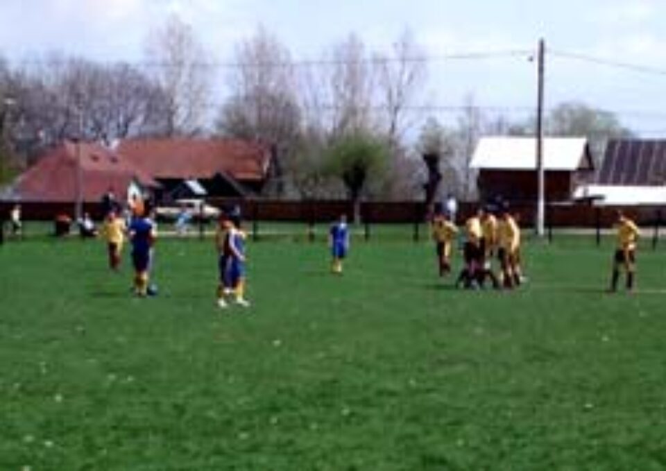 Duminică se stabilește țintarul Duminică se stabilește țintarul