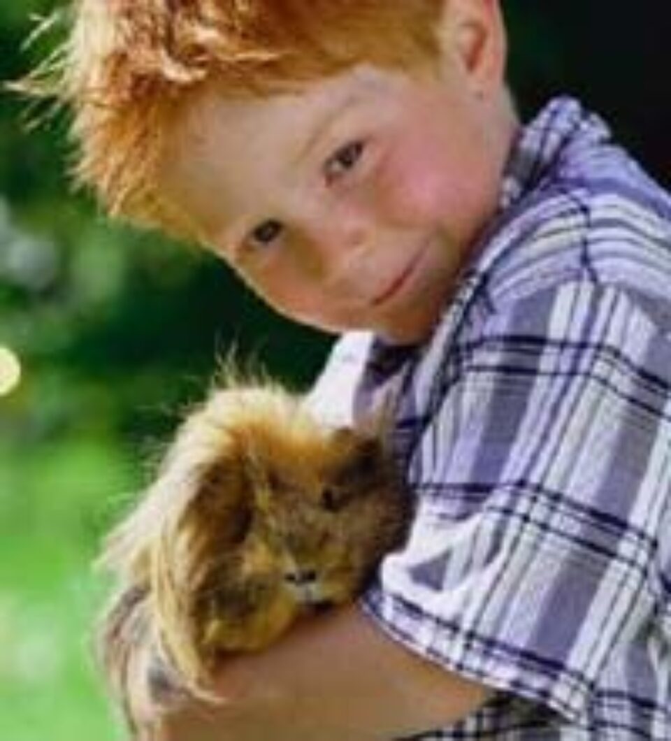 Astmul și alergiile ar putea fi vindecate cu ajutorul animalelor