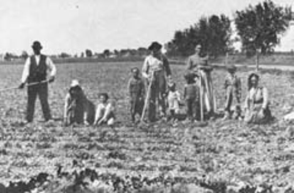 Din presa de altadata Din presa de altadata