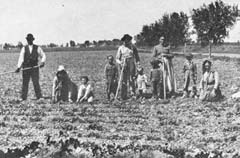 Din presa de altadata