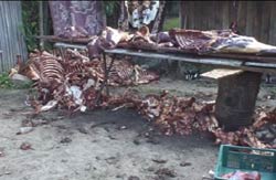 Peste 3 tone de carne de cal urmau să fie vândute drept carne de vită