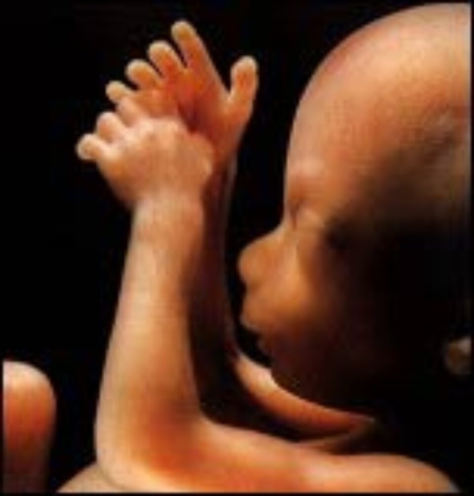 Despre avort (I) Despre avort (I)