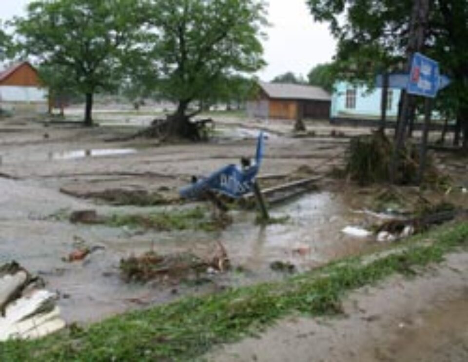 Construirea caselor finanțate de Consiliul Județean începe în această săptămână la Arbore