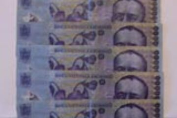 Bani falși, strecurați la societăți din Suceava