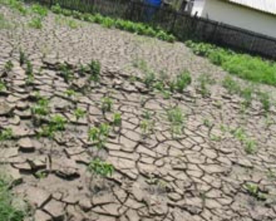 Victimele inundațiilor din Părhăuți se plâng că au fost uitate de autorități