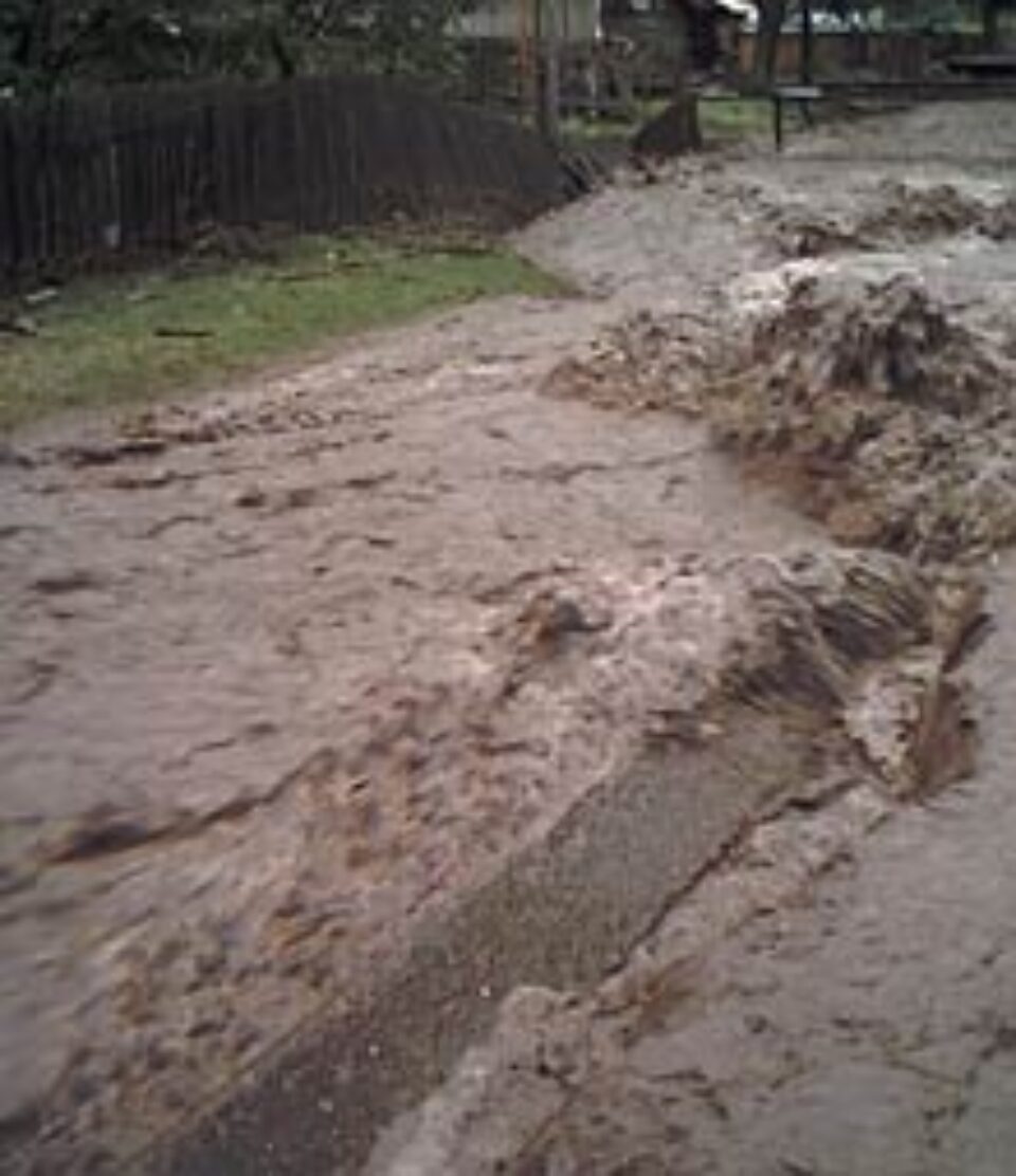 Zeci de mii de suceveni, descoperiți în fața dezastrelor