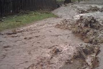 Zeci de mii de suceveni, descoperiți în fața dezastrelor