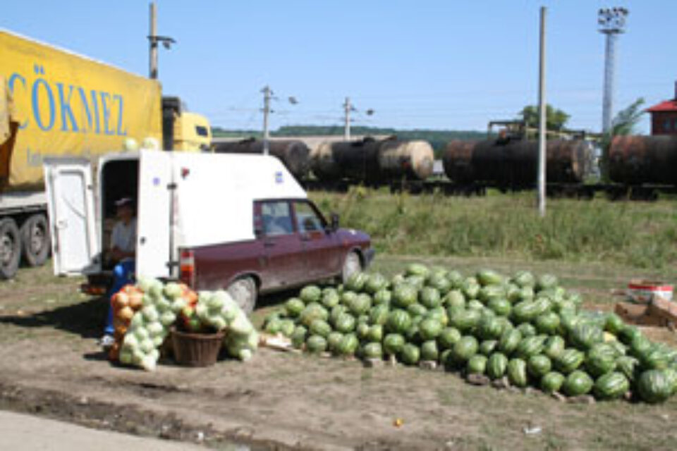Speculă și mizerie lângă piața angro din Burdujeni