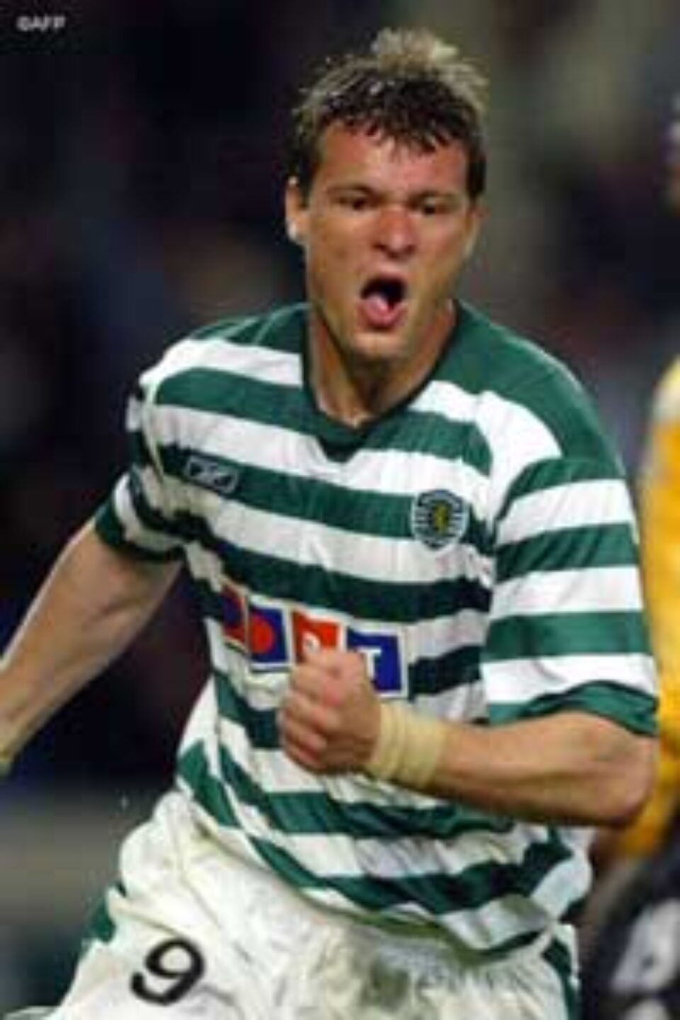 Îl vor pe Marius Niculae Îl vor pe Marius Niculae