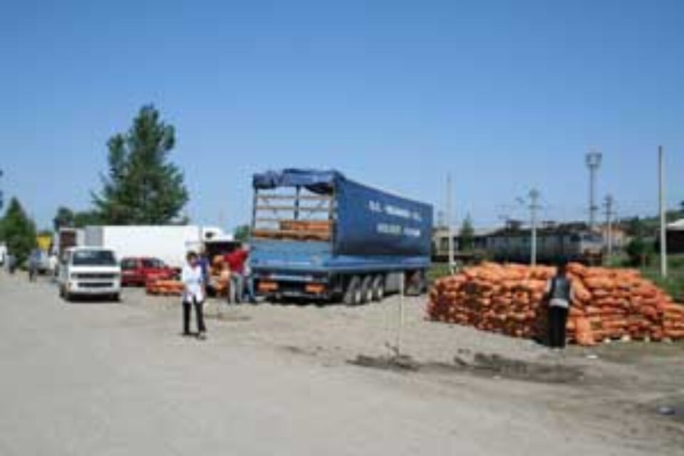 Controale în serie la comercianții de produse de pe lângă piața angro din Burdujeni Controale în serie la comercianții de produse de pe lângă piața angro din Burdujeni