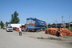 Controale în serie la comercianții de produse de pe lângă piața angro din Burdujeni