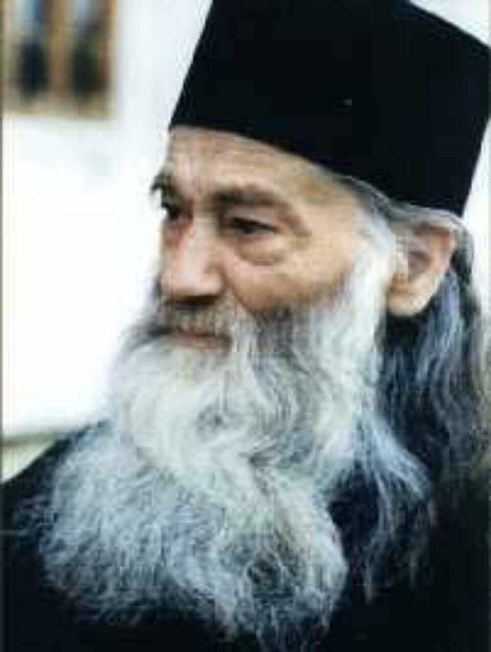 „Dacă n-ar fi fost sângele martirilor, care au mărturisit dreapta credință în fața prigonitorilor Bisericii, n-am mai fi avut moștenirea aceasta de care ne bucurăm acum” „Dacă n-ar fi fost sângele martirilor, care au mărturisit dreapta credință în fața prigonitorilor Bisericii, n-am mai fi avut moștenirea aceasta de care ne bucurăm acum”