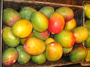 Mango, fructul misterios