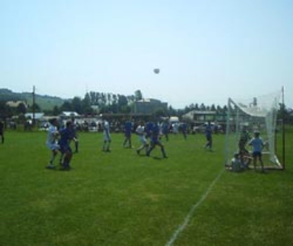 Au pierdut jocul test cu FC Botoșani Au pierdut jocul test cu FC Botoșani