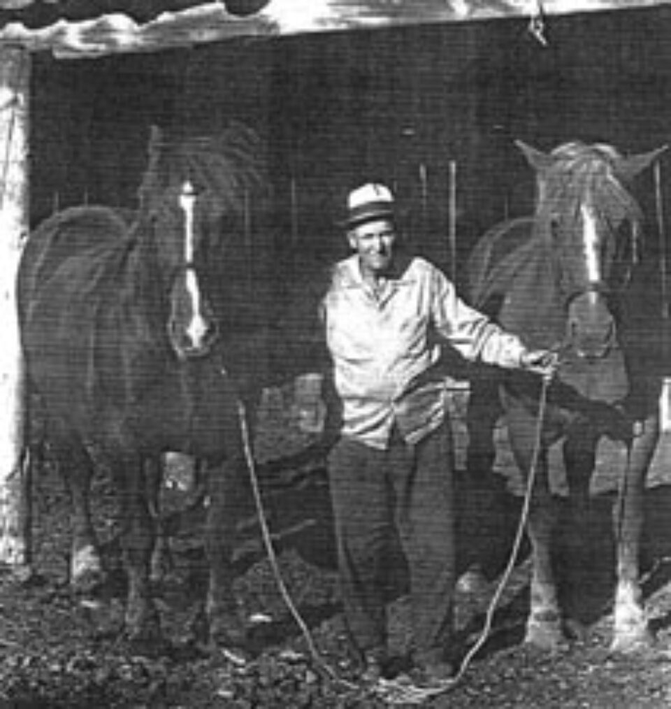 Din presa de altadata Din presa de altadata