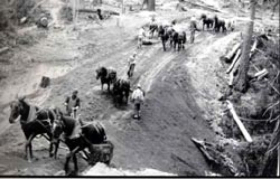 Din presa de altadata