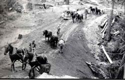 Din presa de altadata