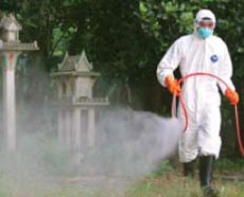 Ultimul focar de gripă aviară de la Codlea a fost închis